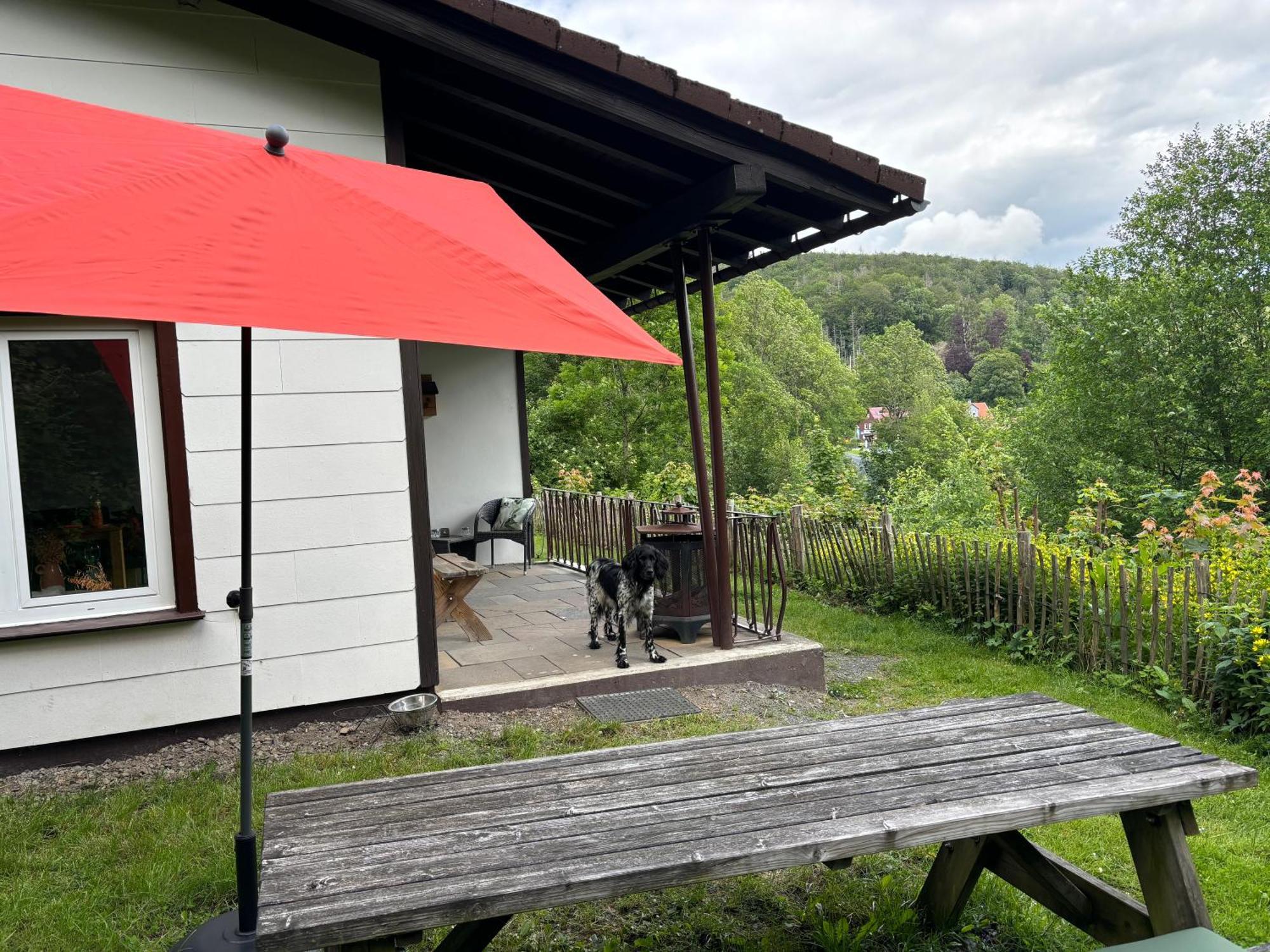 Harzhuisje - Sankt Andreasberg Luaran gambar