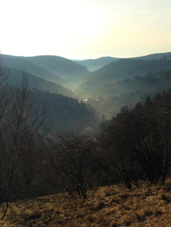 Harzhuisje - Sankt Andreasberg Luaran gambar